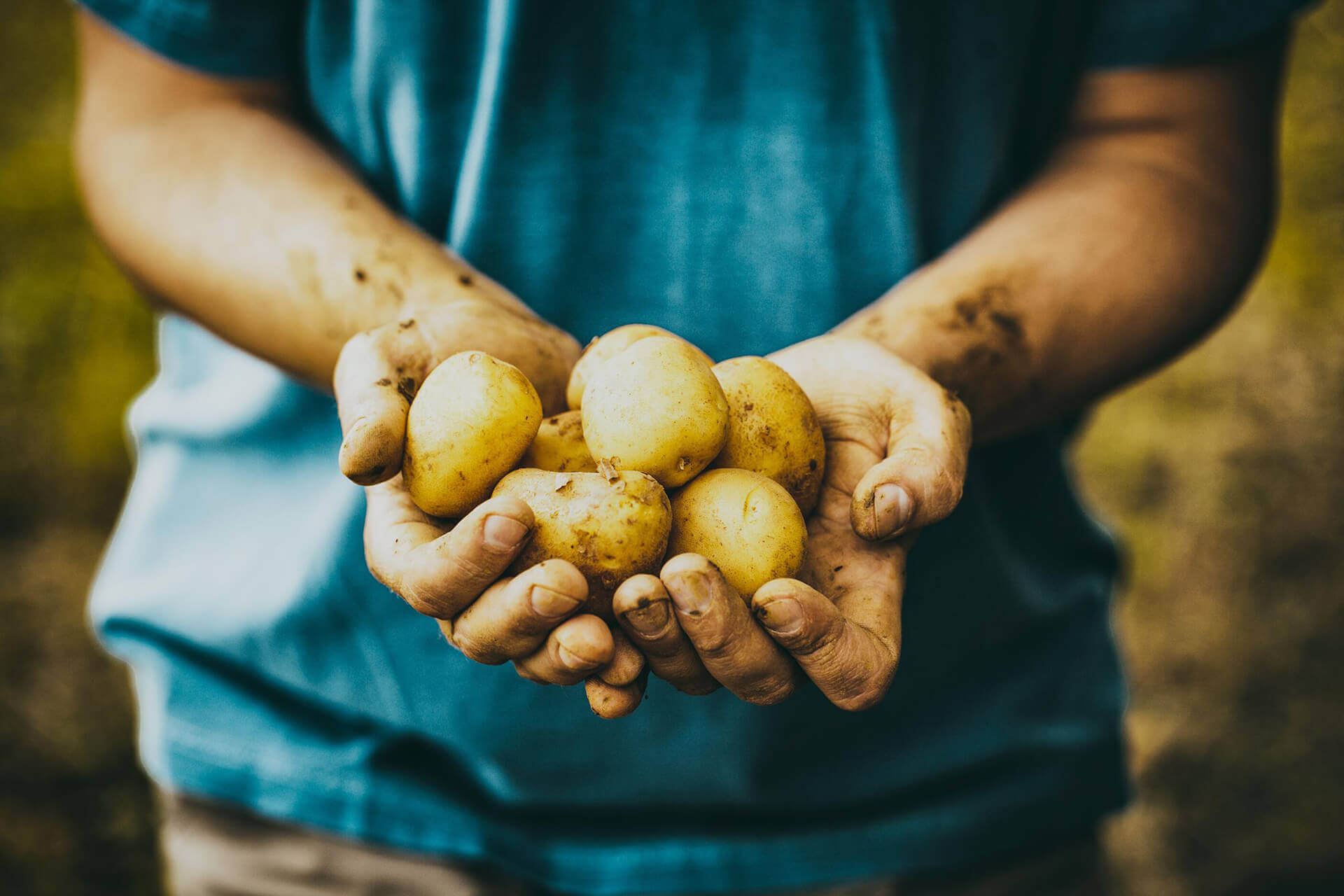 How Black Bell Farms Services Ensures Quality in Every Harvest