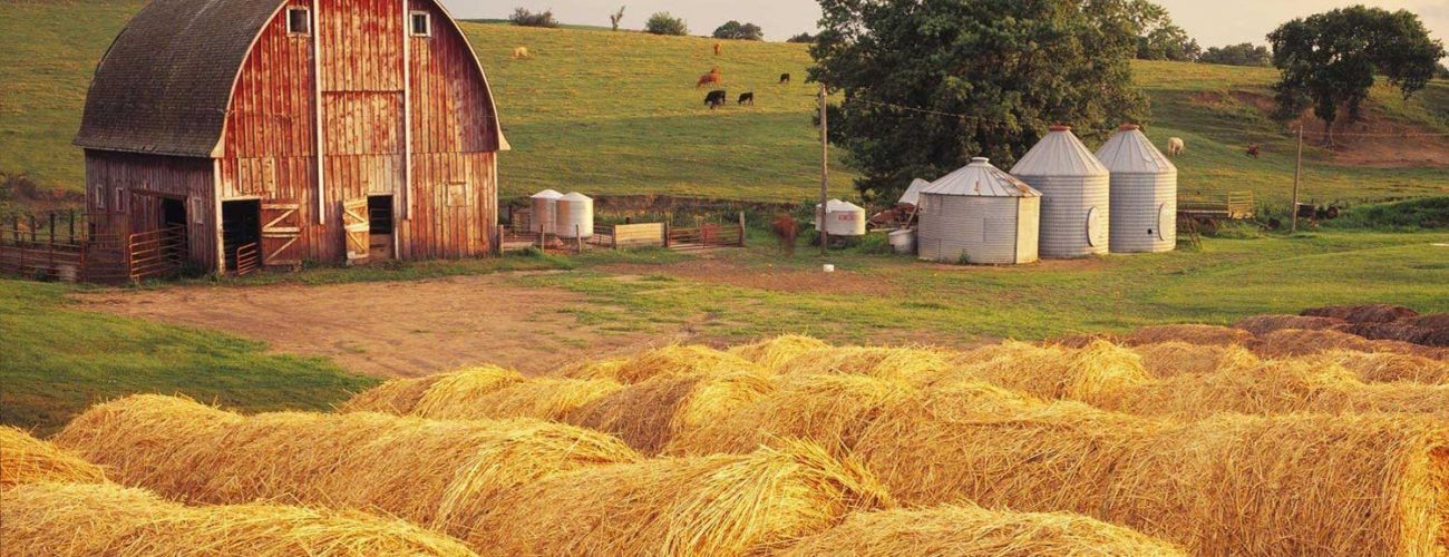 Why Local Matters: The Black Bell Farms Advantage