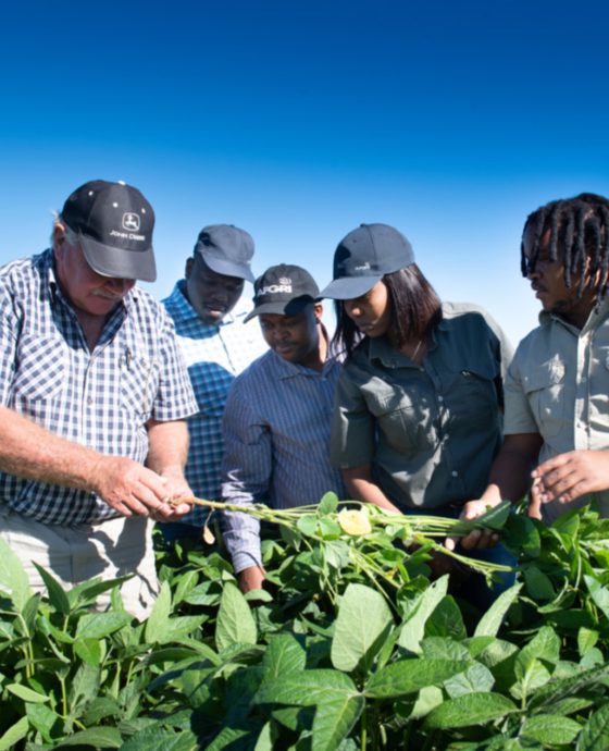 Agricultural training services